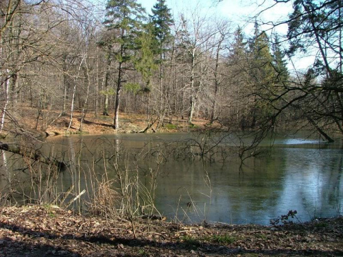 Jeziorko