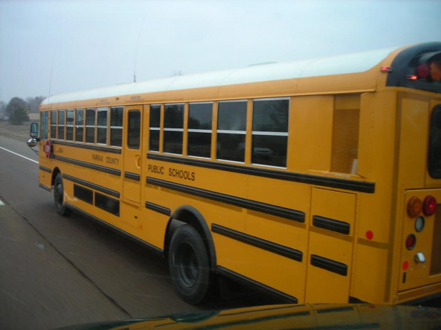 School Bus