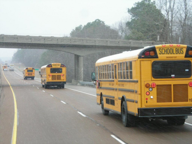 School Bus