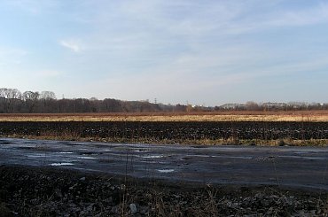 #Las #Kabacki #Powsin #Rower #Wycieczka