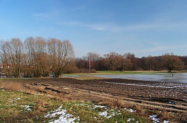 #Las #Kabacki #Powsin #Rower #Wycieczka