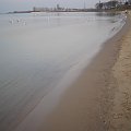 Spacer Brzeźno