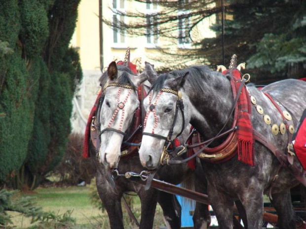 Wisła - 2007r. #Wisła #Góry #Beskidy #Zima