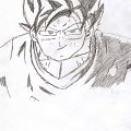 Roran16 (Son Goku)