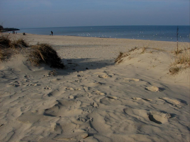 Plaża w Porcie Północnym