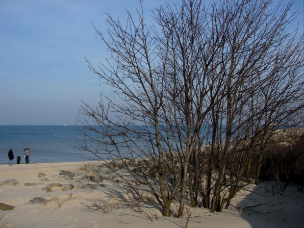 Plaża w Porcie Północnym