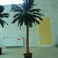 Palma wysokość 300cm.
Nowa sala bankietowa w budowie
Hotel "Pod Dębami" Pawłówek #PalmySztuczne #palma #PalmaSztuczna #drzedav
