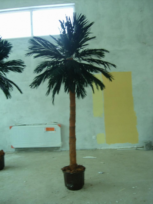 Palma wysokość 300cm.
Nowa sala bankietowa w budowie
Hotel "Pod Dębami" Pawłówek #PalmySztuczne #palma #PalmaSztuczna #drzedav