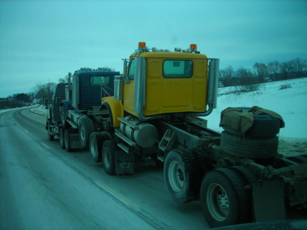 Western Star