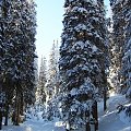 15-17.02.2007 #góry #tatry #zima