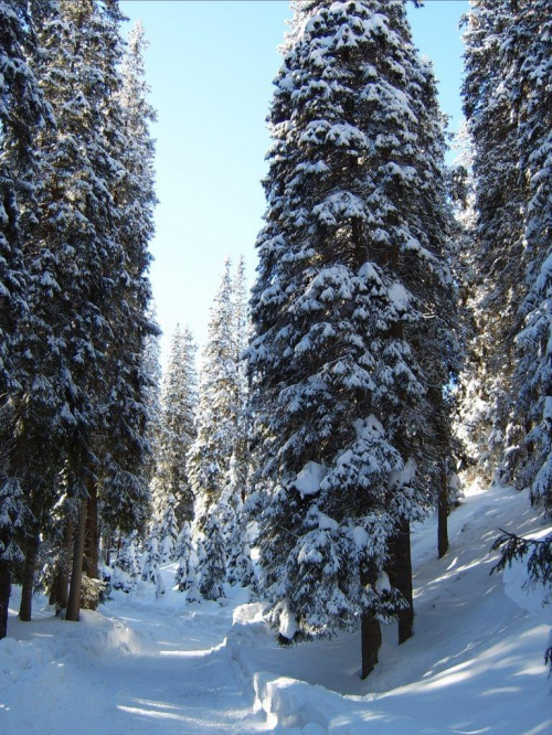 15-17.02.2007 #góry #tatry #zima