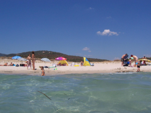 Jak widać w szczycie sezonu nie ma ścisku na plaży ...