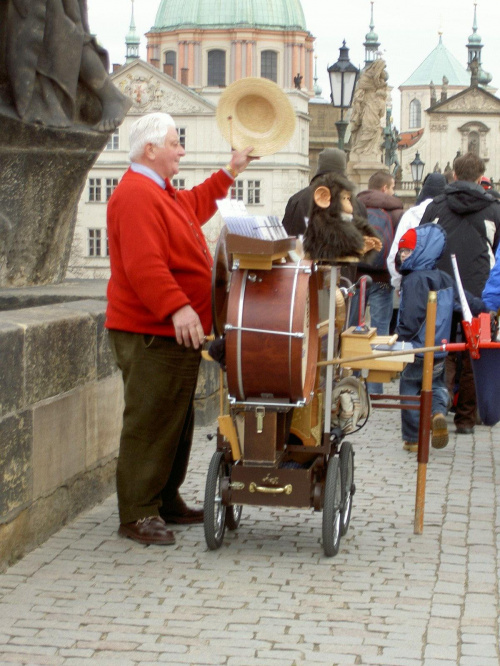 Kataryniarz na Moście Karola, dla mnie bardzo niespotykane zjawisko :) #Praga