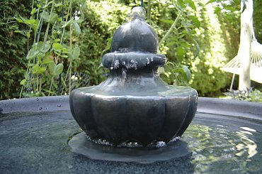 #Garden #Plant #Plants #Kwiatki #Kwiatek #Tree #Lead #Flora #Grass #Private #Tala #Nature #Wilderness #Yard #Pond #Fountain #begonia #tulip #seed #seedling #dirt #meditation #meditative