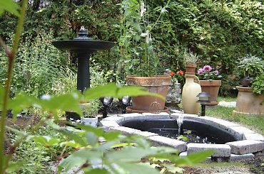 #Garden #Plant #Plants #Kwiatki #Kwiatek #Tree #Lead #Flora #Grass #Private #Tala #Nature #Wilderness #Yard #Pond #Fountain #begonia #tulip #seed #seedling #dirt #meditation #meditative