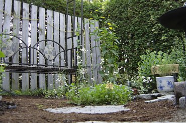 #Garden #Plant #Plants #Kwiatki #Kwiatek #Tree #Lead #Flora #Grass #Private #Tala #Nature #Wilderness #Yard #Pond #Fountain #begonia #tulip #seed #seedling #dirt #meditation #meditative