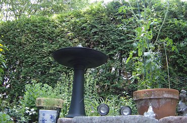 #Garden #Plant #Plants #Kwiatki #Kwiatek #Tree #Lead #Flora #Grass #Private #Tala #Nature #Wilderness #Yard #Pond #Fountain #begonia #tulip #seed #seedling #dirt #meditation #meditative