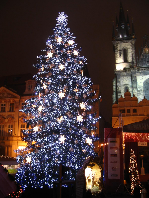 Rynek Starego Miasta, przepiękna choinka :) #Praga #Czechy