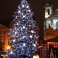 Rynek Starego Miasta, przepiękna choinka :) #Praga #Czechy