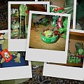 urodzinowo-nowe żabki do kolekcji #żaby #zbiór #collage