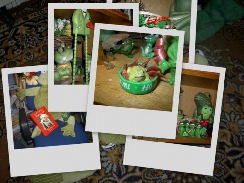 urodzinowo-nowe żabki do kolekcji #żaby #zbiór #collage
