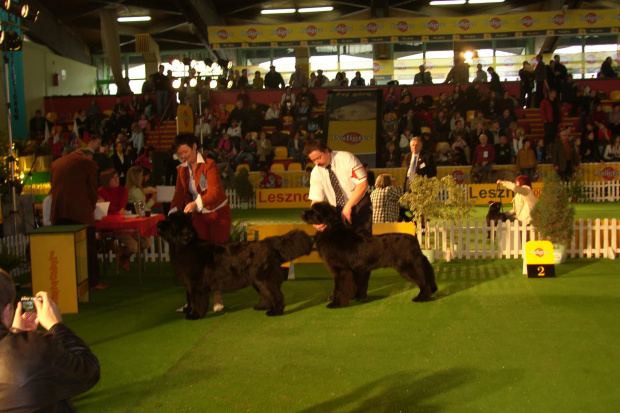 LESZNO Wystawa Championow