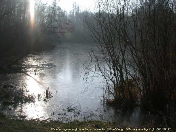 Jeziorko w Lesie Marcelińskim, 2007.02.17