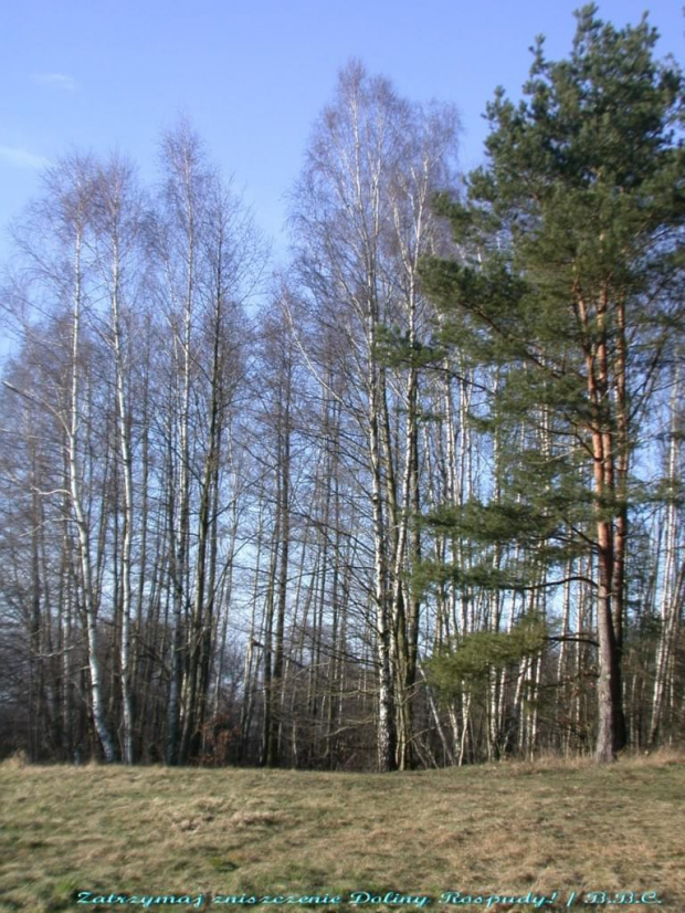 polanka, 2007.02.17